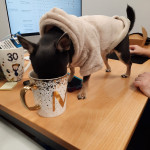 Excel Home Care Services