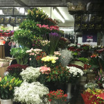 Howcrofts Florist